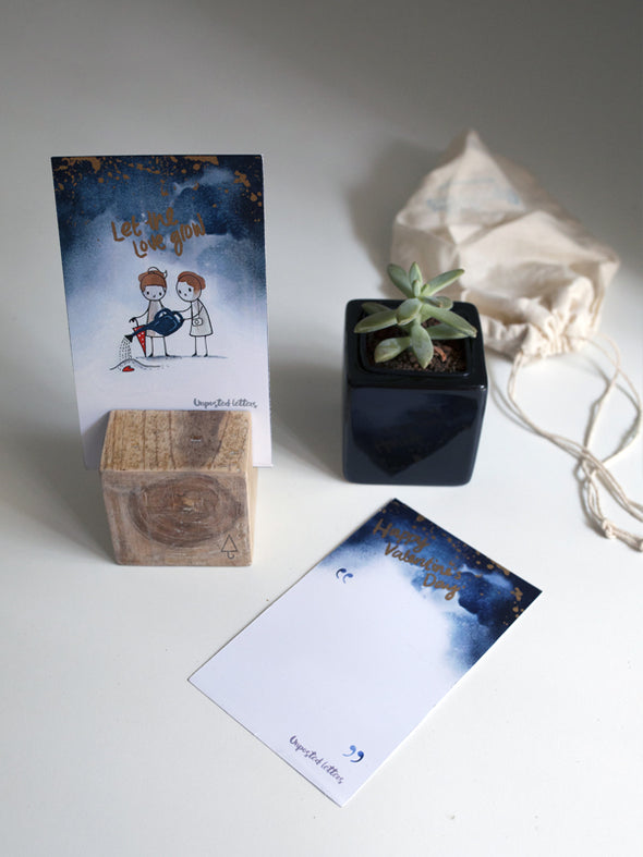 Let the love grow -Full edition Valentine's day gift box[Plant included]